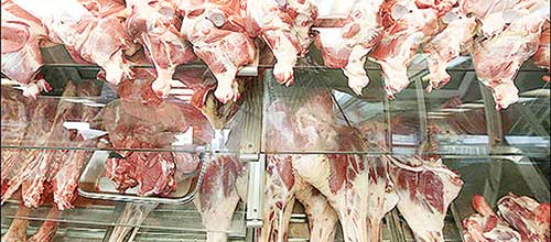 جای خالی نظارت در بازار گوشت