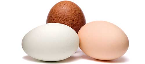 کنترل بازار تخم‌مرغ با توزیع محصولات وارداتی