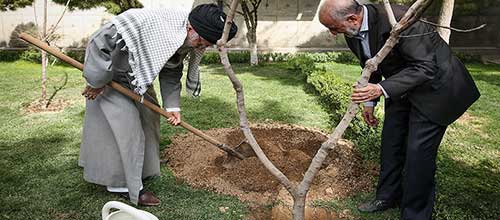 کاشت درخت در مراکز آبخیزداری مانع ریزگردها می‌شود