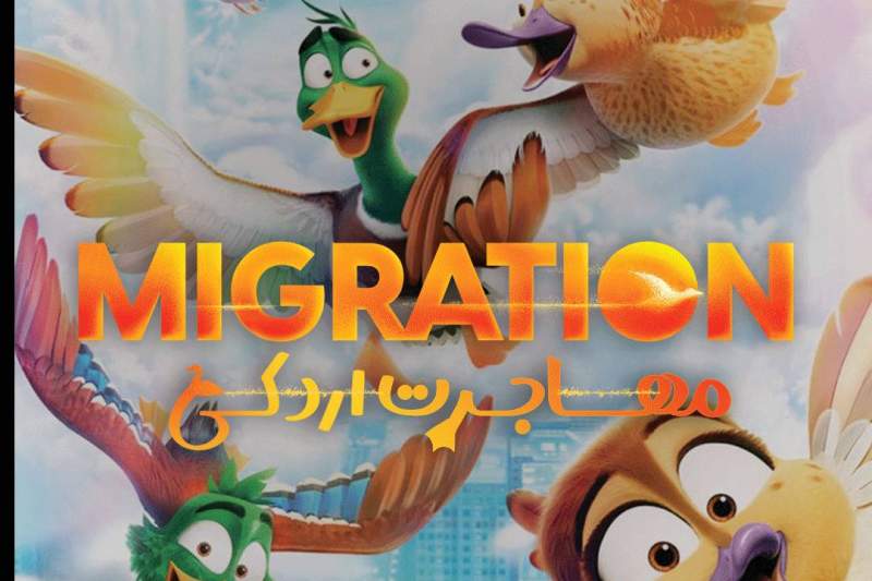 انیمیشن «مهاجرت اردکی» در فرهنگسرای رسانه به نمایش درمی‌آید